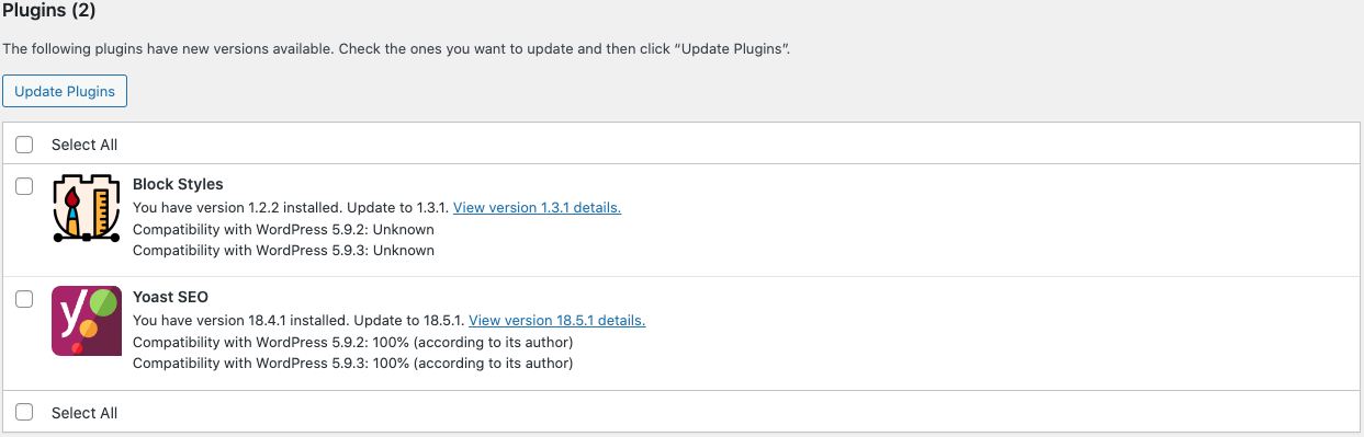 WordPress update plugins and themes page.